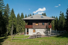 Apartments Villa Vesna Pokljuka